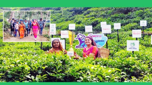 শুরু হচ্ছে বাংলাদেশ বনাম আয়ারল্যান্ড নারী দলের তিন ম্যাচের টি-টোয়েন্টি সিরিজ