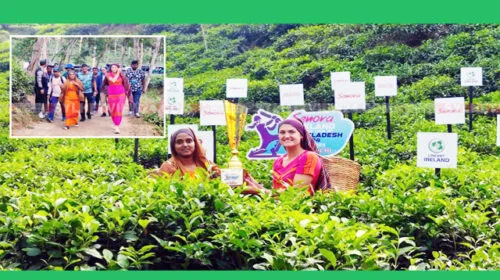 শুরু হচ্ছে বাংলাদেশ বনাম আয়ারল্যান্ড নারী দলের তিন ম্যাচের টি-টোয়েন্টি সিরিজ