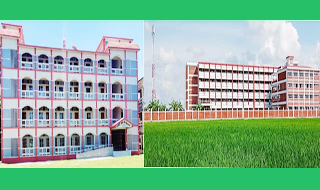 নিয়োগ বিজ্ঞপ্তি প্রকাশ করেছে শিক্ষা প্রকৌশল অধিদপ্তর