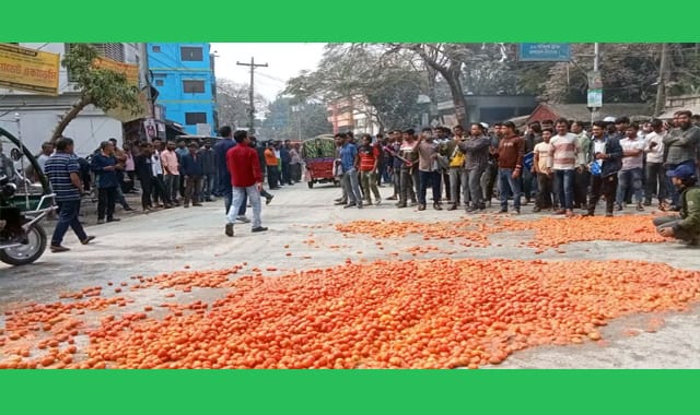 নাটোর-রাজশাহী মহাসড়কে টমেটো ফেলে সড়ক অবরোধ