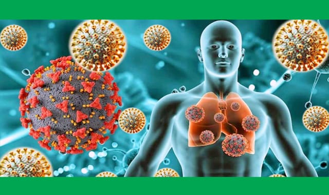 দেশে একজনের শরীরে শনাক্ত হিউম্যান মেটানিউমোভাইরাস,সংক্রমণ প্রতিরোধে নির্দেশনাসমূহ