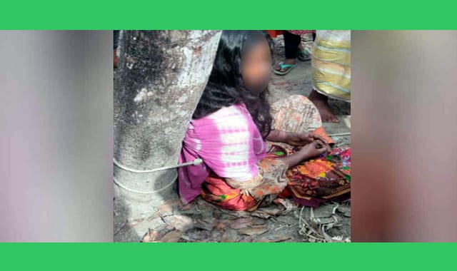 বাবার বিরুদ্ধে চুরির অপবাদ দেওয়ার প্রতিবাদ করায় গাছের সঙ্গে বেঁধে নির্যাত