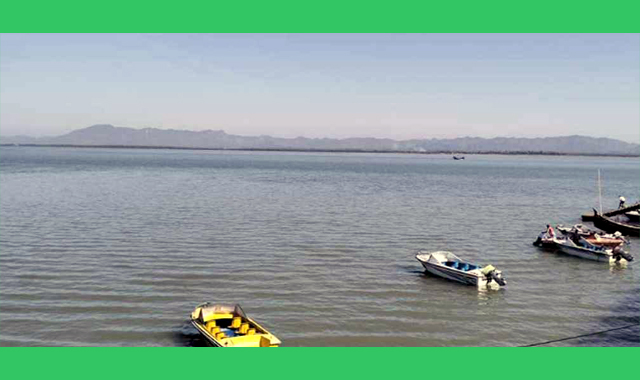 মাছ ধরার চারটি ট্রলারসহ ১৯ জেলেকে ধরে নিয়ে গেছে আরাকান আর্মি