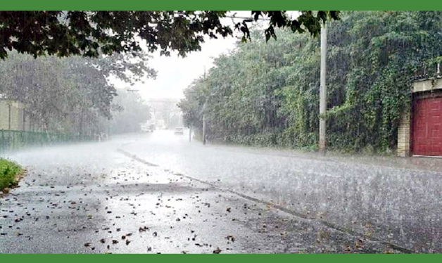 দেশের বিভিন্ন অঞ্চলে মাঝারি থেকে ভারী বৃষ্টি হতে পারে