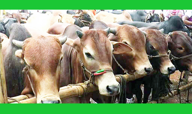 ঈদুল আজহার সম্ভাব্য তারিখ প্রকাশ