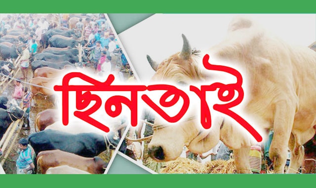 গরুর হাট থেকে টাকা ছিনতাইয়ের অভিযোগ