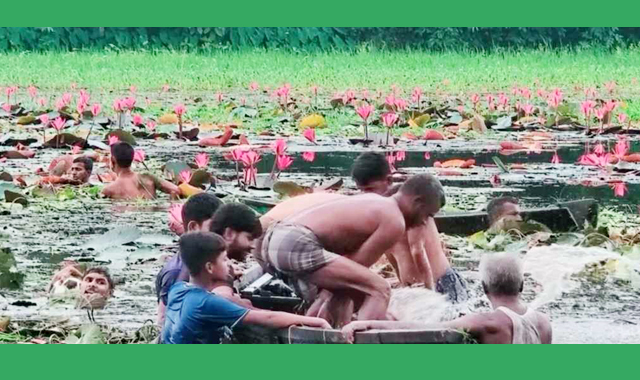 ফুল তুলতে গিয়ে বিলে ডুবে দুই বন্ধুর মর্মান্তিক মৃত্যু