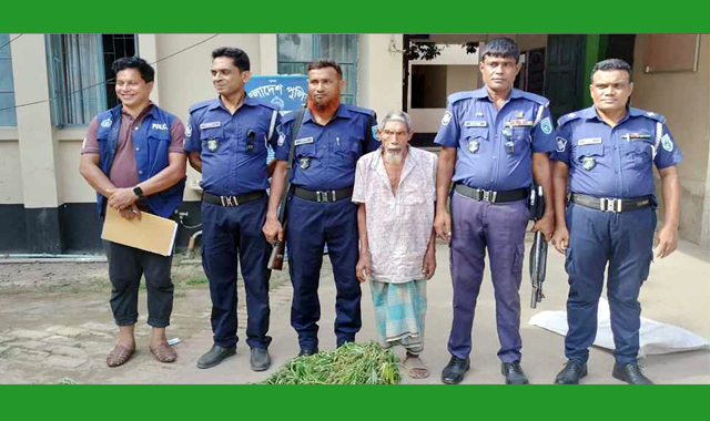 পৃথক দুটি অভিযানে পুলিশ ১২ কেজি গাঁজা উদ্ধার এক বৃদ্ধকে আটক