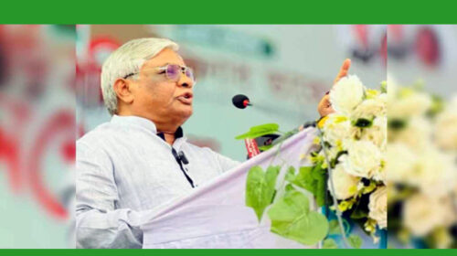 যদি কোনো মৌলবাদী ক্ষমতায় আসে-বুলু
