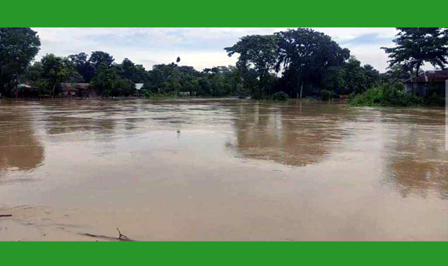 মুহুরী নদীর পানি বেড়ে প্লাবিত