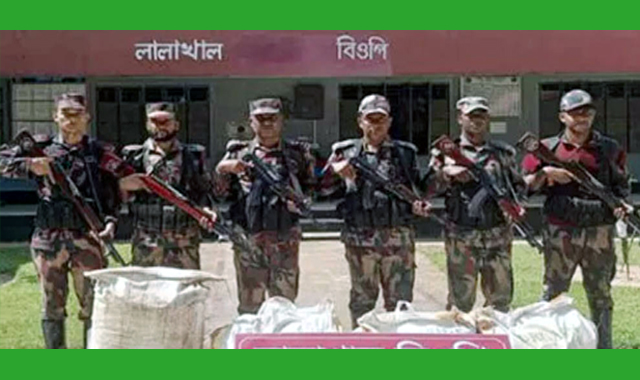 সীমান্তে অভিযান বিভিন্ন ধরনের পণ্য আটক করেছে বিজিবি ১৯ ব্যাটালিয়ন