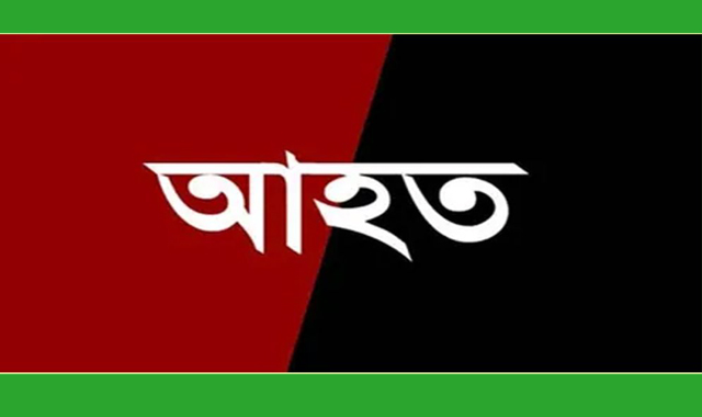 নিজের বসতঘরে দুর্বৃত্তদের ছুরিকাঘাতে আহত ১