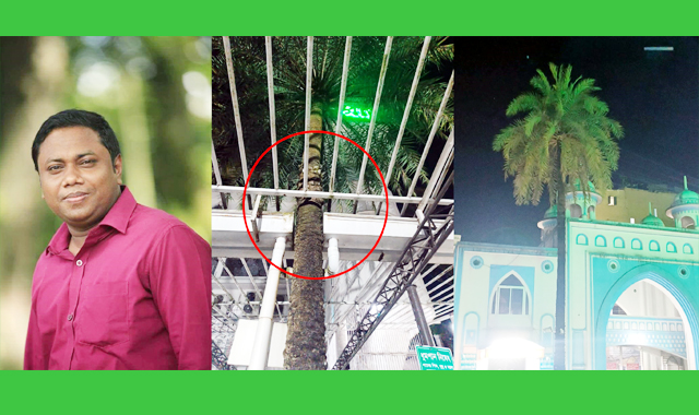 খেজুর গাছের ‘ময়নাতদন্ত’ ও সাংবাদিকতার নৈতিকতা