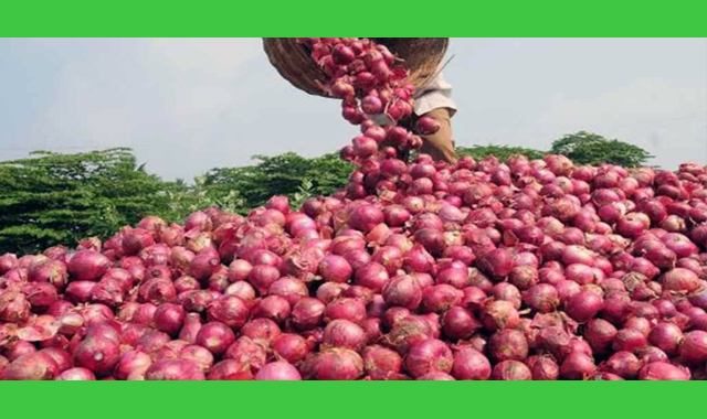 পেঁয়াজের দাম তলানিতে ঠেকেছে ভারতের স্থানীয় বাজারে