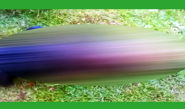 এক তরুণীকে গলাকাটা অবস্থায় উদ্ধার করেছে পুলিশ