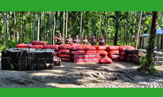 সীমান্তে পৃথক অভিযানে বিপুল পরিমাণ ভারতীয় পেঁয়াজ ও টমেটো আটক
