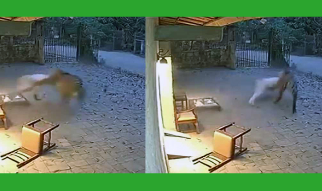 চাঞ্চল্যকর এক ভিডিও সামাজিক যোগাযোগমাধ্যমে সম্প্রতি ছড়িয়ে পড়েছে