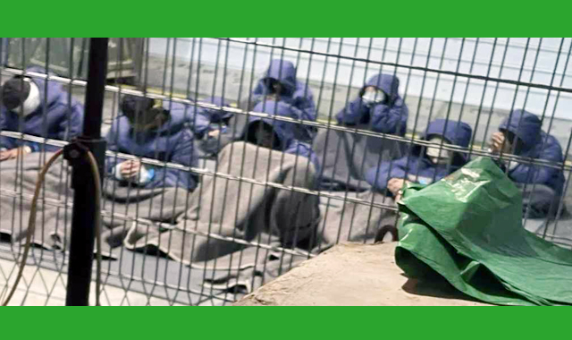 যৌন নির্যাতন ফিলিস্তিনি নারীরা,পুরুষ বন্দীরাও যৌন সহিংসতার শিকার