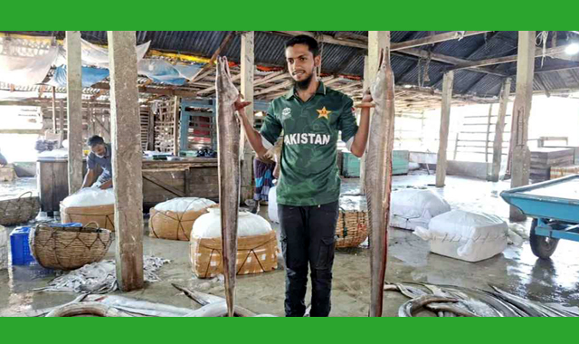 বিপন্ন প্রজাতির কালো বাইন মাছ বিক্রি