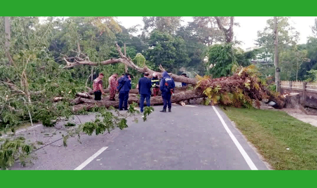রাজনগর- ফেঞ্চুগঞ্জ-সিলেট আঞ্চলিক মহাসড়কে গাছ ফেলে অবরোধ সৃষ্টি