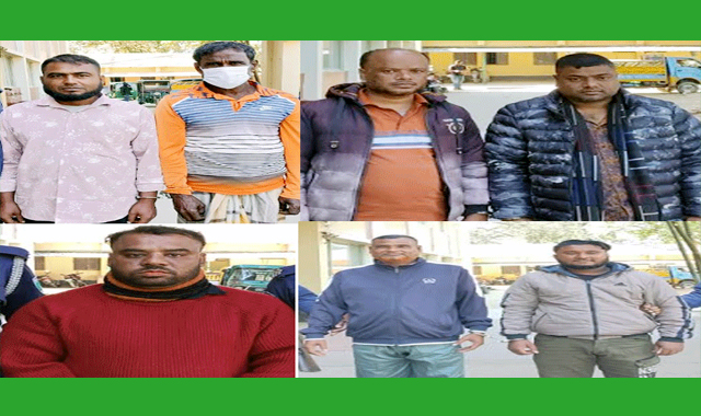 কোম্পানীগঞ্জে ৭ ডেভিলকে আটক