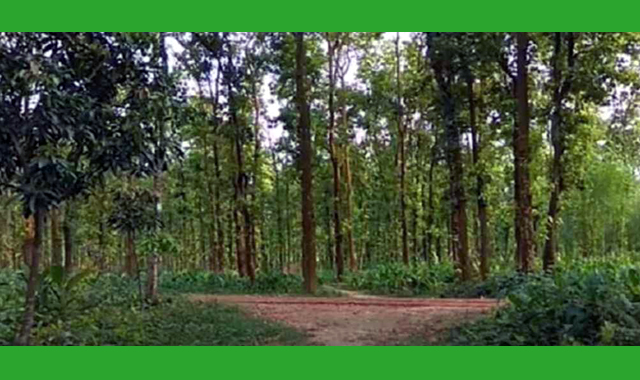 বন্ধুকে আটকে রেখে বান্ধবীকে ধর্ষণ অত:পর