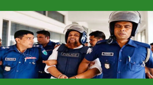 পল্লবকে কারাগারে প্রেরণের নির্দেশ দিয়েছেন আদালত