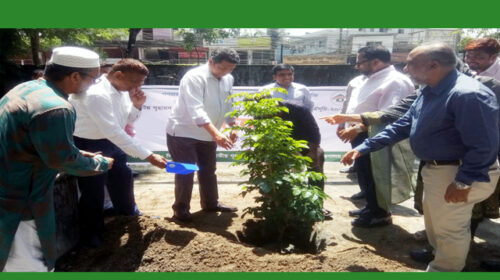 পরিবেশের ভারসাম্য রক্ষায়ও সরকার বিশেষ গুরুত্ব দিচ্ছে