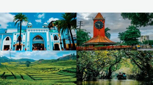 ডেঙ্গু প্রতিরোধে এখনই সচেতন হোন, বাড়ির আশপাশ পরিষ্কার রাখার আহ্বান