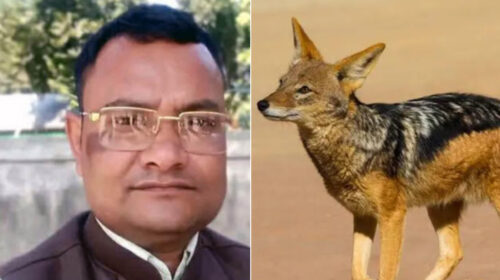 শিয়ালের সঙ্গে মোটরসাইকেলের ধা ক্কা, ইলেকট্রিশিয়ানের মৃ ত্যু