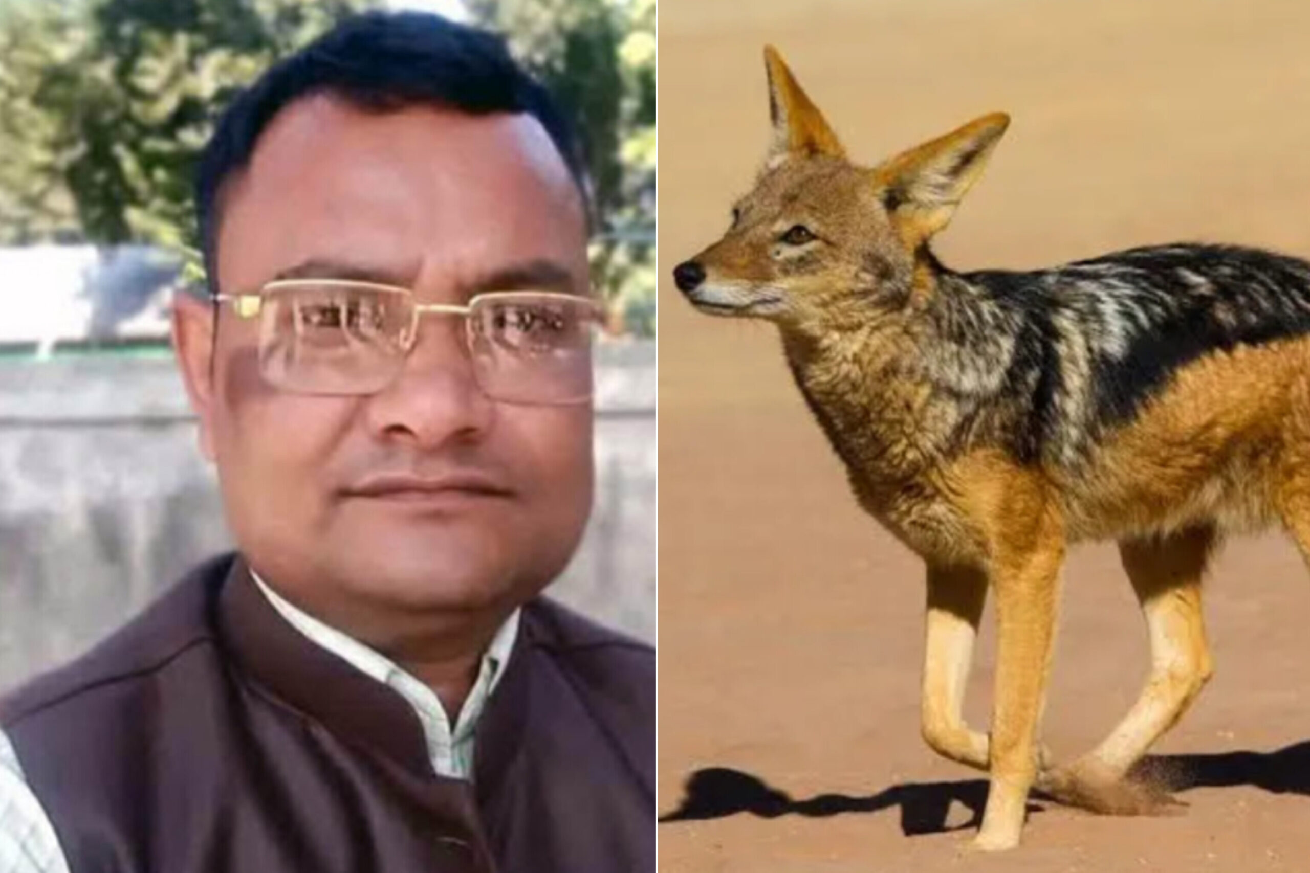 শিয়ালের সঙ্গে মোটরসাইকেলের ধা ক্কা, ইলেকট্রিশিয়ানের মৃ ত্যু