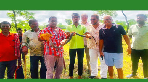 লোকালয়ে সাপের উপদ্রব