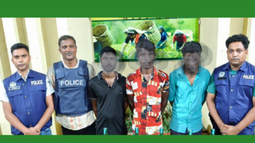 ৩ জনকে আটক করেছে পুলিশ