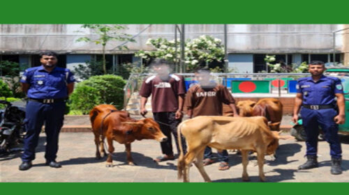 পুলিশের অভিযানে ২ জনকে আটক