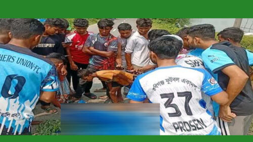 বাসের ধাক্কায় এক কিশোর নিহত