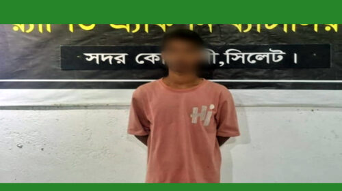অভিযুক্ত মুজাহিদকে গ্রেপ্তার