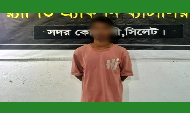 অভিযুক্ত মুজাহিদকে গ্রেপ্তার