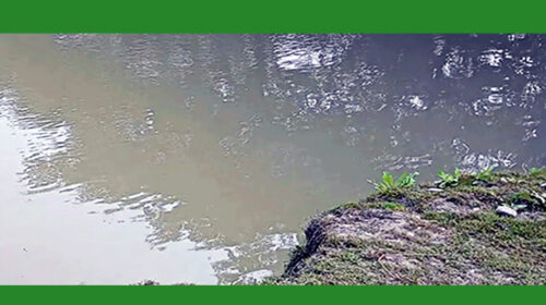 বর্ষি বাইতে গিয়ে পানিতে ডুবে দুই শিশু শিক্ষার্থীর মৃত্যু