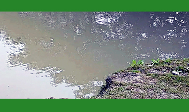 বর্ষি বাইতে গিয়ে পানিতে ডুবে দুই শিশু শিক্ষার্থীর মৃত্যু
