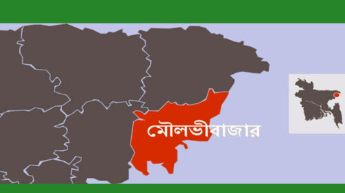 দুটি সিএনজিচালিত অটোরিকশার মুখোমুখি সংঘর্ষে এক তরুণী নিহত