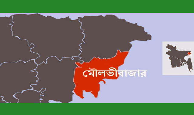 দুটি সিএনজিচালিত অটোরিকশার মুখোমুখি সংঘর্ষে এক তরুণী নিহত