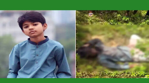 আইফোনের জন্যই এ হত্যাকাণ্ড ঘটেছে