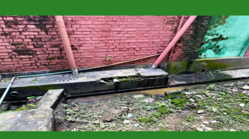 সাপাহার উপজেলা স্বাস্থ্য কমপ্লেক্সে টয়লেটের দুর্গন্ধে দুর্ভোগে রোগী-স্বজন