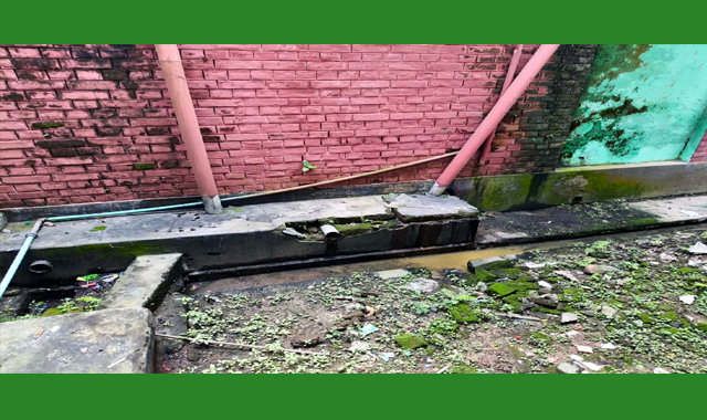 সাপাহার উপজেলা স্বাস্থ্য কমপ্লেক্সে টয়লেটের দুর্গন্ধে দুর্ভোগে রোগী-স্বজন