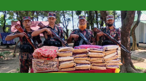 সীমান্ত এলাকায় অভিযান চালিয়ে গরু মহিষসহ ভারতীয় পণ্য জব্দ