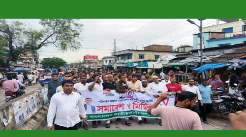 সাপাহারে বিএনপির বিক্ষোভ মিছিল ও সমাবেশ