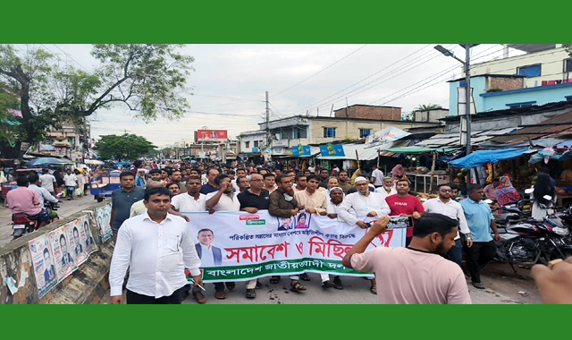 সাপাহারে বিএনপির বিক্ষোভ মিছিল ও সমাবেশ