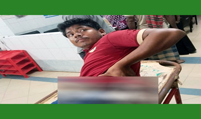 পাখি তাড়াতে ছোড়া গুলিতে এক পরিচ্ছন্নতাকর্মী আহত