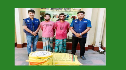 শ্রীমঙ্গলে বিশেষ অভিযান চালিয়ে দুইজনকে গ্রেপ্তার