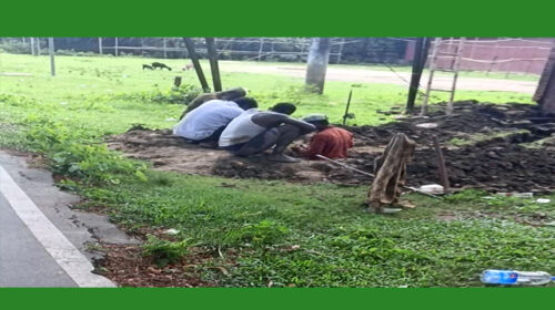 ছাতক রেলওয়েতে মাটি খুঁড়ে তামার তার নেওয়ার অভিযোগ